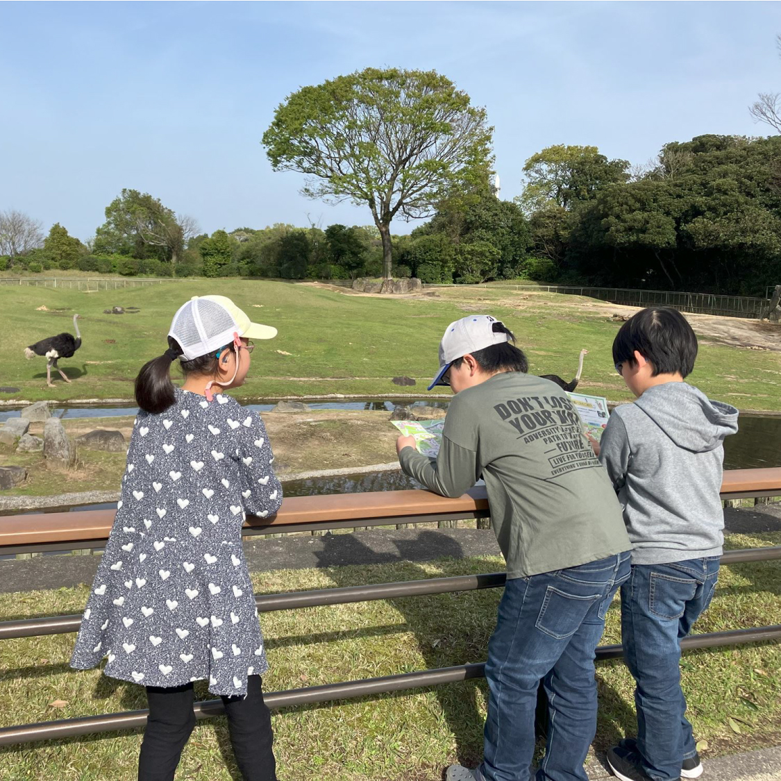 動物園